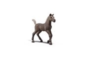 Schleich - Schleich Collectible Foal Darcy - 81460