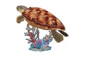 Puslespil - Cubic Fun 3D Puzzle National Geographic Sea Turtle 3D Puslespil - 2012565