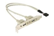 USB kabel - DeLOCK USB Panel - 10 pin USB Header to USB - 30 cm - 71000