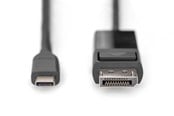 Skærmkabel - DIGITUS USB Type-C to DisplayPort Bi-Directional Adapter Cable - AK-300334-020-S