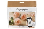 Kreativitet & Hobbyartikler - Creativ Company - Mini Craft Set Crepe Paper Carnations - 977473