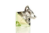 Parfume og dufte - Britney Spears Believe Eau de Parfum 30 ml - 719346117708
