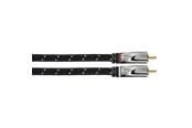 Audio kabel - AVINITY 2m 2xRCA audio cable - 00107793