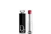 Makeup - Christian Dior Addict Shine Cream Lipstick 667 - 3348901605991