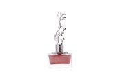 Parfume og dufte - Aurora Deciduous Spring Eau De Parfum For Women 100 ml - 6290360540276