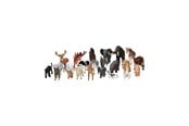 Figur - Mojo Play Animals School Package 23 pcs. - 8450001
