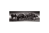 Puslespil - Clementoni Jigsaw Puzzle Herd of Giants 1000pcs. Floor - 39895