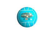Fodbold og boldspil - Schreuder Beach bold  Ø:21cm. 280 gr. +3år PVC - 26023