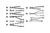 SATA & ATA kabel - Lenovo SATA / SAS cable kit - 4X97A82939