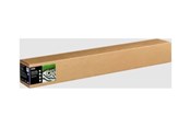 Blæk, Toner & Forbrugsstoffer - Epson Fine Art Cotton Textured Natural 44" x 15m - C13S450279NQ