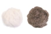 Katte - Jolly Paw Plys Legetøjsbolde med Klokke & Katteurt 3cm (2-Pak) - JP34107