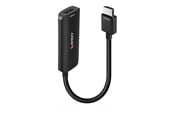 Skærmkabel - Lindy adapter - 15.7 cm - 38327