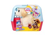 Plys - Little Live Pets OUCHIES - 26679