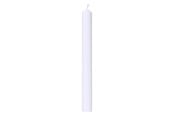Boligindretning - Asp-Holmblad Festlys/Jættelys White - 5406
