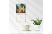 Kalender - Mayland Vægkalender mini Kattekillinger 2026 - 26066400
