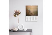 Kalender - Mayland Vægkalender Verdens dyr 2026 - 26066330