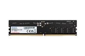 RAM - A-Data ADATA - DDR5 - module - 16 GB - DIMM 288-pin - 5600 MHz / PC5-44800 - unbuffered - AD5U560016G-S