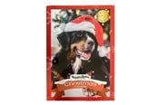 Hunde - Treat Time Jule-Adventskalender til Hunde - 61000