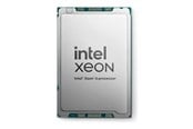 CPU - Dell Intel Xeon 6517P / 3.2 GHz processor CPU - 16 kerner - 3.2 GHz - 338-CSZQ