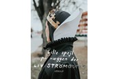 Historie, Mytologi & Samfund - Lille spejl på væggen der - Historie & Samfund - Hæftet - 9788770859417