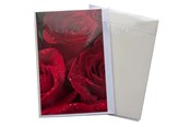 Hobby artikler - Hobby Mate Kort m. konvolut BLOMSTER11*17cm - 100258