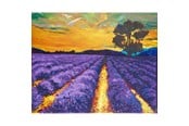Hobby artikler - CENTRUM Diamond Painting 40*50cm. LILLA MARK - 80906