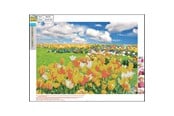 Hobby artikler - CENTRUM Diamond Painting 30*40cm. Tulipanmark - 89757