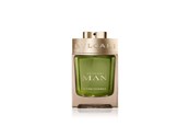 Parfume og dufte - Bvlgari Wood Essence Eau De Parfum 100 ml - 783320423734