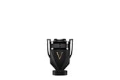 Parfume og dufte - PACO RABANNE Invictus Victory Absolu - 50 ml - 3349668641826