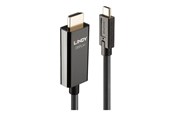 Skærmkabel - Lindy adapter cable - HDMI / USB - 10 m - 43317