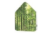 Krop & Sind - Zwitscherbox Forest - Krop & Sind - 4260529150273