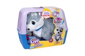 Plys - Little Live Pets OUCHIES HUSKY - 26680