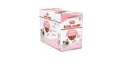 Katte - Royal Canin Kitten in Gravy 85g (12-Pack) - 9003579308745