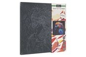 Kreativt Legetøj - Creative Craft Group Paint by Number Black Parrot 30x30cm - AR2024/GE
