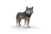 Schleich - Schleich Amerikansk ulv - 14991