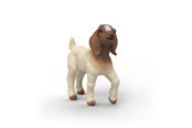 Schleich - Schleich Boerged - gedekid - 14930