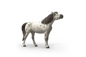 Schleich - Schleich Knabstrupper - Vallak - 14916