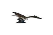 Puslespil - Revell 3D Puzzle Construction Kit Jurassic World - Mosasaurus - 83dlg. 3D Puslespil - 00244