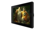 Tegneplade / Digitizer - Huion Kamvas Pro 13 - GT133