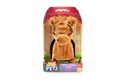 Plys - Happy Pets Walk Along Pony - 602575