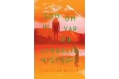 Ungdomsbøger - Som om vi var en lykkelig historie - Ungdomsbog - Hæftet - 9788702434224