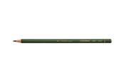 Skrive- og Tegneværktøjer - STABILO ALL - coloured pencil - green - 8043