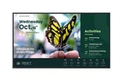 Infoskærme & Digital Skiltning - BenQ ST6504 ST04 Series - 65" LED-backlit LCD display - 4K - for digital signage - 9H.S46TB.RE2