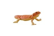 Figur - Mojo Wildlife Bearded Dragon - 381096
