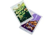 Merchandise - Weta Workshop - The Lord of the Rings - Rivendell & Hobbiton Tea Towel Set of 2 - Håndklæde - 9420024727744