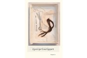 Skønlitteratur & Fiktion - Lystprincippet - Skønlitteratur & Fiktion - Hæftet - 9788775939428