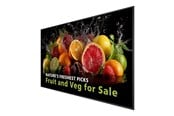 Infoskærme & Digital Skiltning - Philips 98BDL5050D 5000 Series - 98" Class (97.5" viewable) LED-backlit LCD display - 4K - for digital signage - 98BDL5050D/00