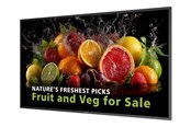 Infoskærme & Digital Skiltning - Philips 50BDL5050D 5000 Series - 50" Class (49.5" viewable) LED-backlit LCD display - 4K - for digital signage - 50BDL5050D/00