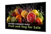 Infoskærme & Digital Skiltning - Philips 75BDL5050D 5000 Series - 75" Class (74.5" viewable) LED-backlit LCD display - 4K - for digital signage - 75BDL5050D/00
