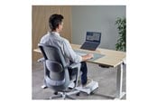 Systemtilbehør (kølepasta mv.) - Fellowes Alumia - notebook stand - portable - 100138868